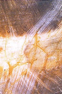 fascia2